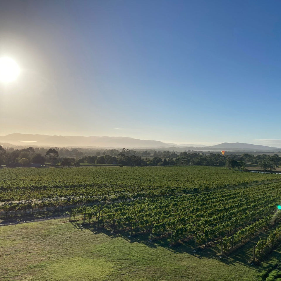 The Vineyard brand story