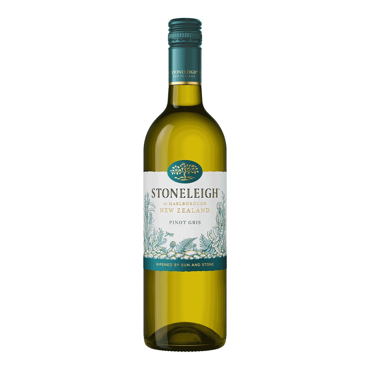 Stoneleigh Pinot Gris 2024 - Kent Street Cellars
