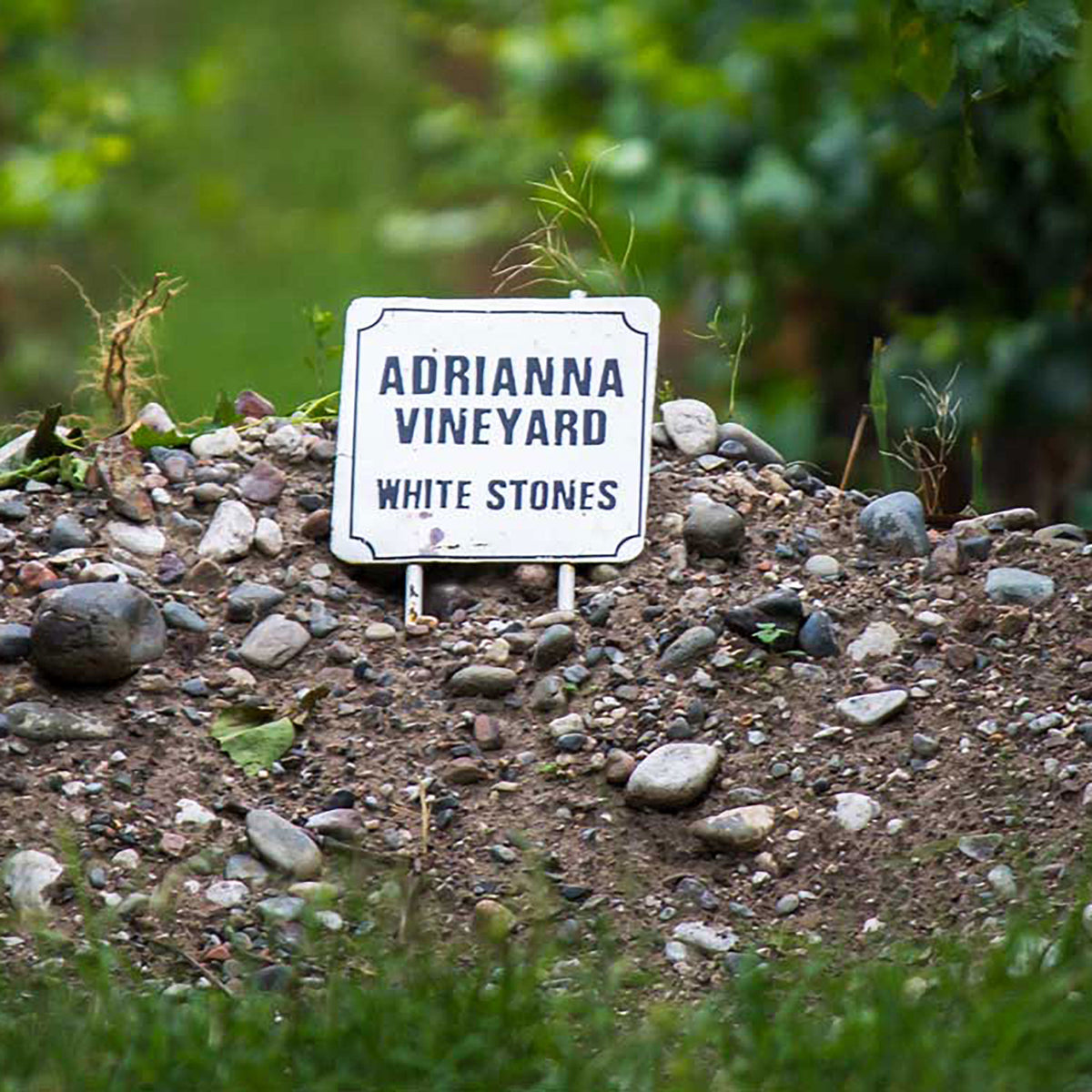 Catena Zapata Adrianna Vineyard White Stones Chardonnay 2021 - Kent Street Cellars