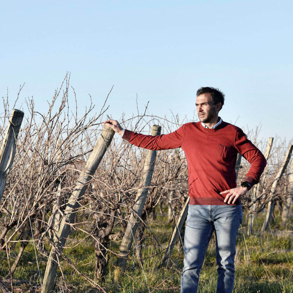 Cellar Master Sylvain Delord - Kent Street Cellars