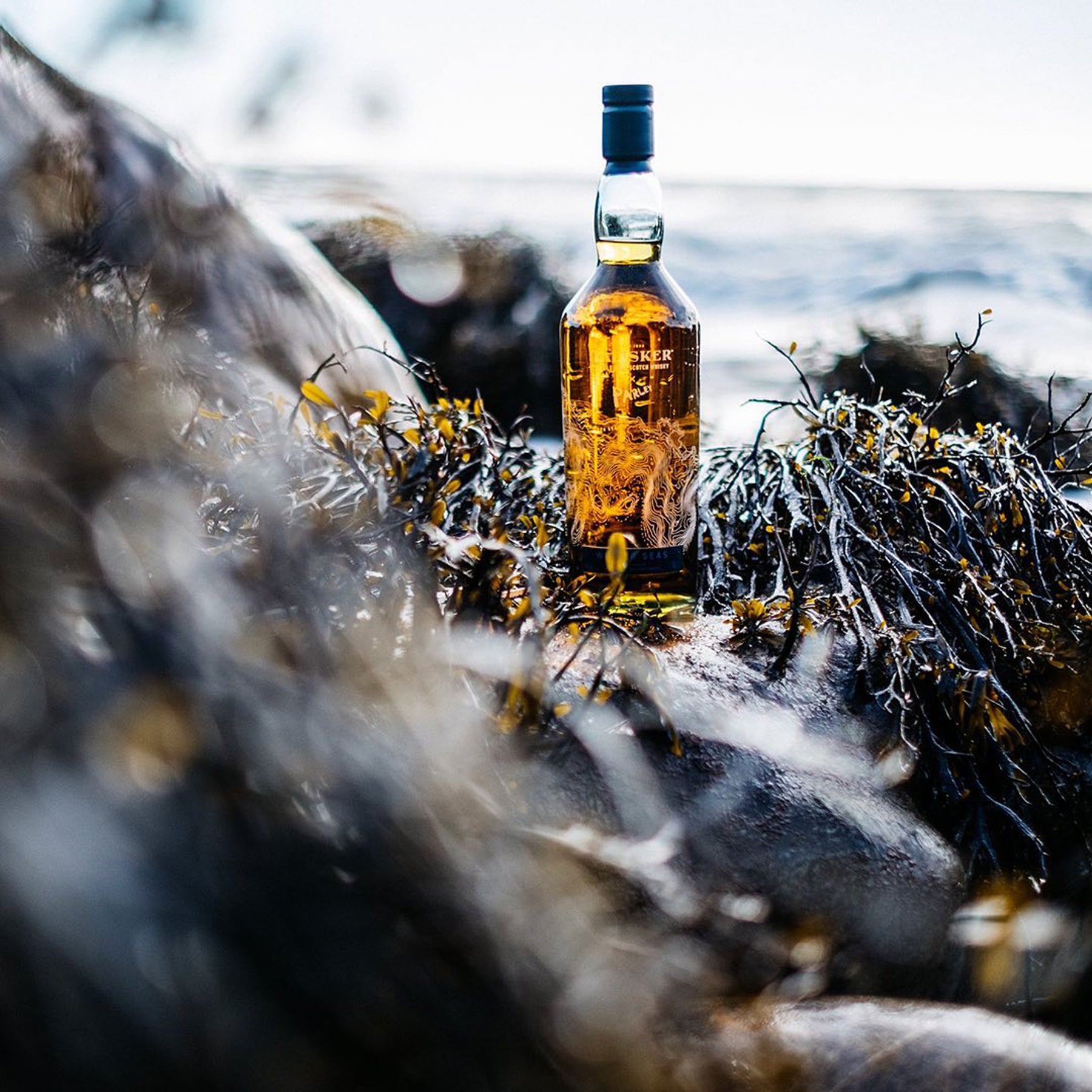 Talisker x Parley Wilder Seas Single Malt Scotch Whisky 700ml - Kent Street Cellars