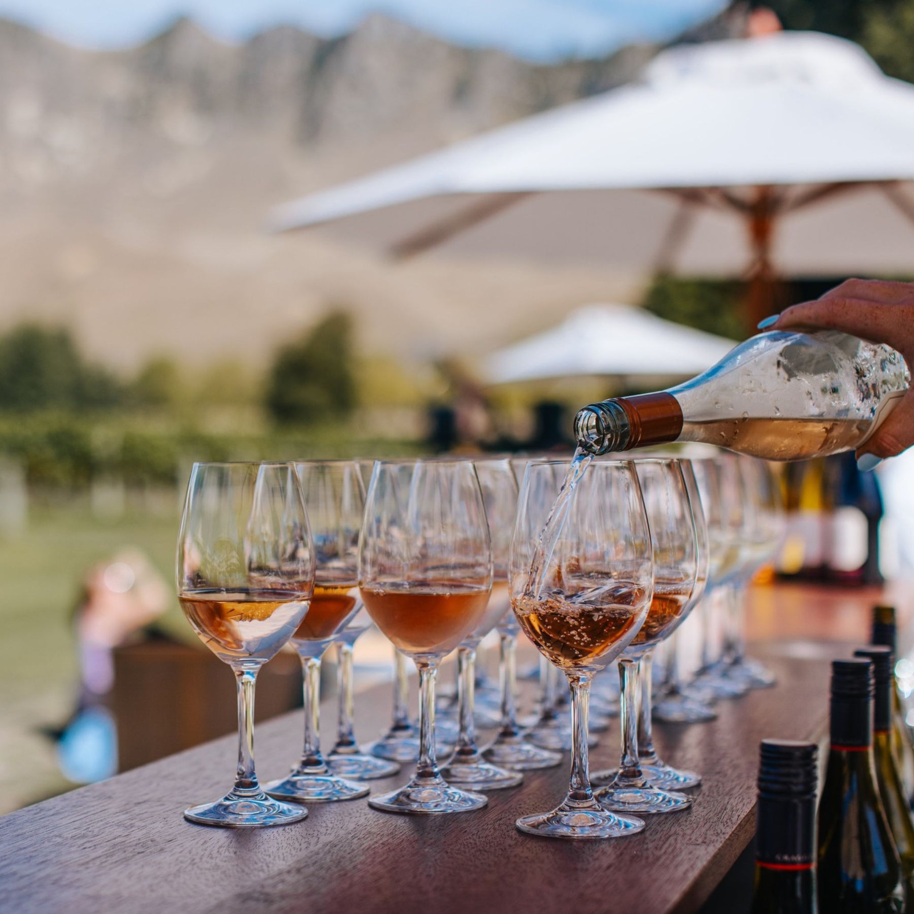 he bouquet is fragrant with notes of orange blossom, wild strawberry, and fresh lavender. On the palate, it’s refreshing and irresistible, with sweet berry fruit harmonising perfectly with a vibrant, textural acidity. The finish is long and dry, leaving you wanting that next sip. - Kent Street Cellars