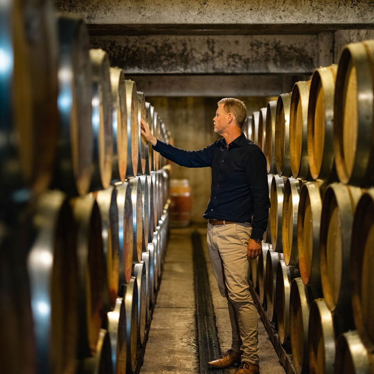 Te Mata Alma Pinot Noir 2021