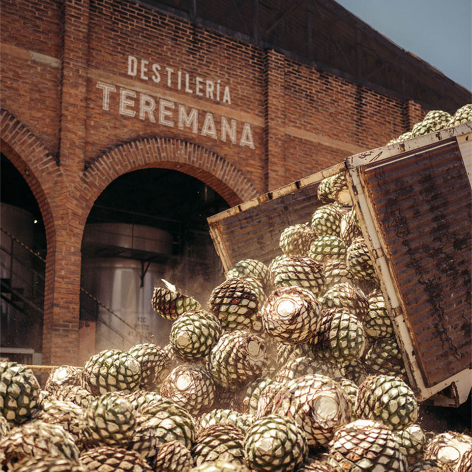 Teremana brand story