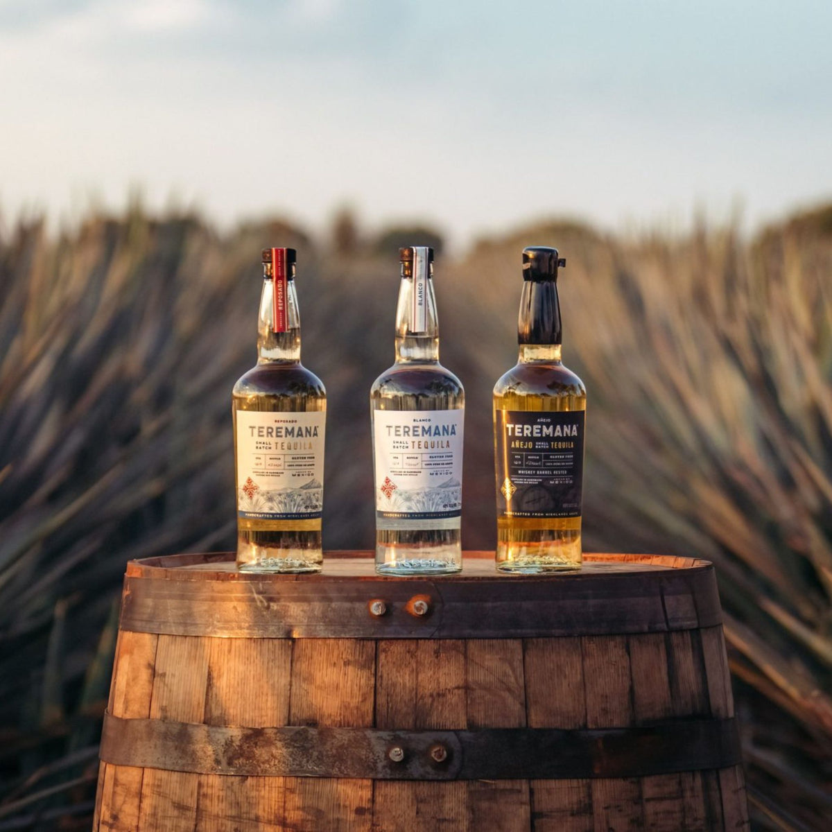 Teremana Range Includes Reposado, Blanco, Anejo - Kent Street Cellars