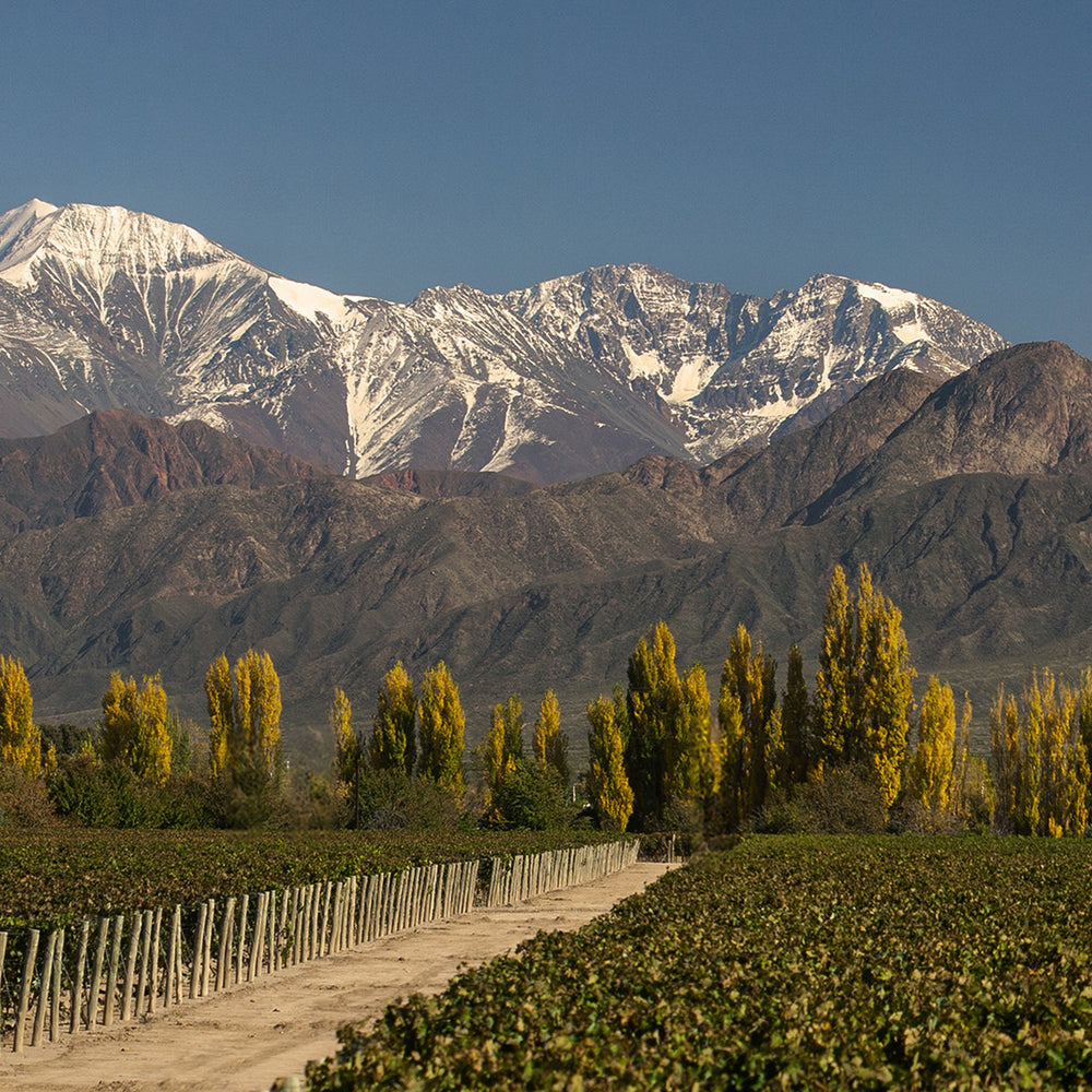 Terrazas Reserva Malbec 2022