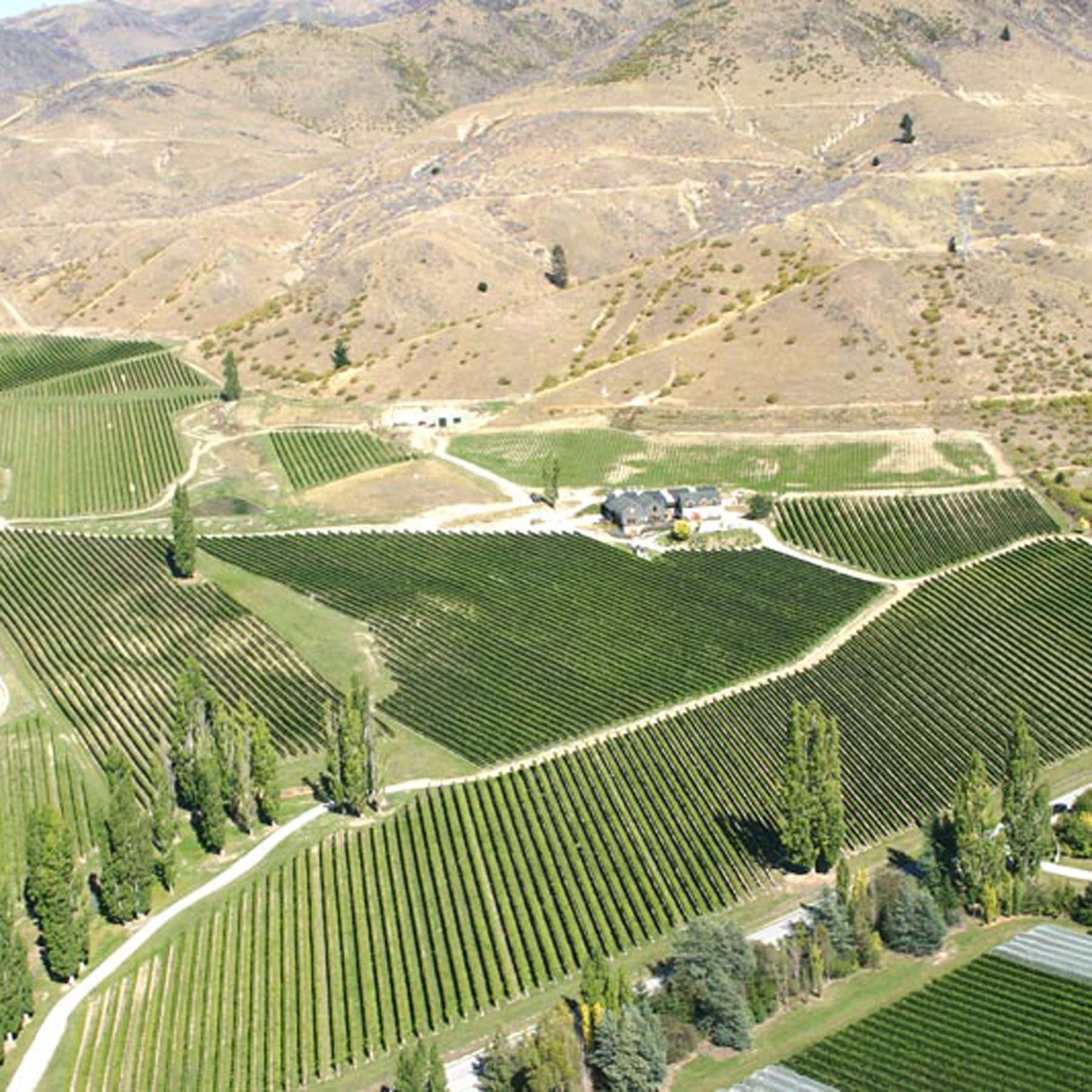 Felton Road Bannockburn Riesling 2024
