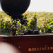 Bollinger has built its vineyards at the heart of the finest crus in Champagne. 180 hectares of vines are made up of 85% Grand and Premier crus and are farmed by our teams of growers across 7 separate vineyards: Aÿ, Avenay, Tauxières, Louvois and Verzenay for Pinot Noir; the Montagne de Reims, Cuis for Chardonnay; and the Côte des Blancs and Champvoisy for Meunier. - Kent Street Cellars