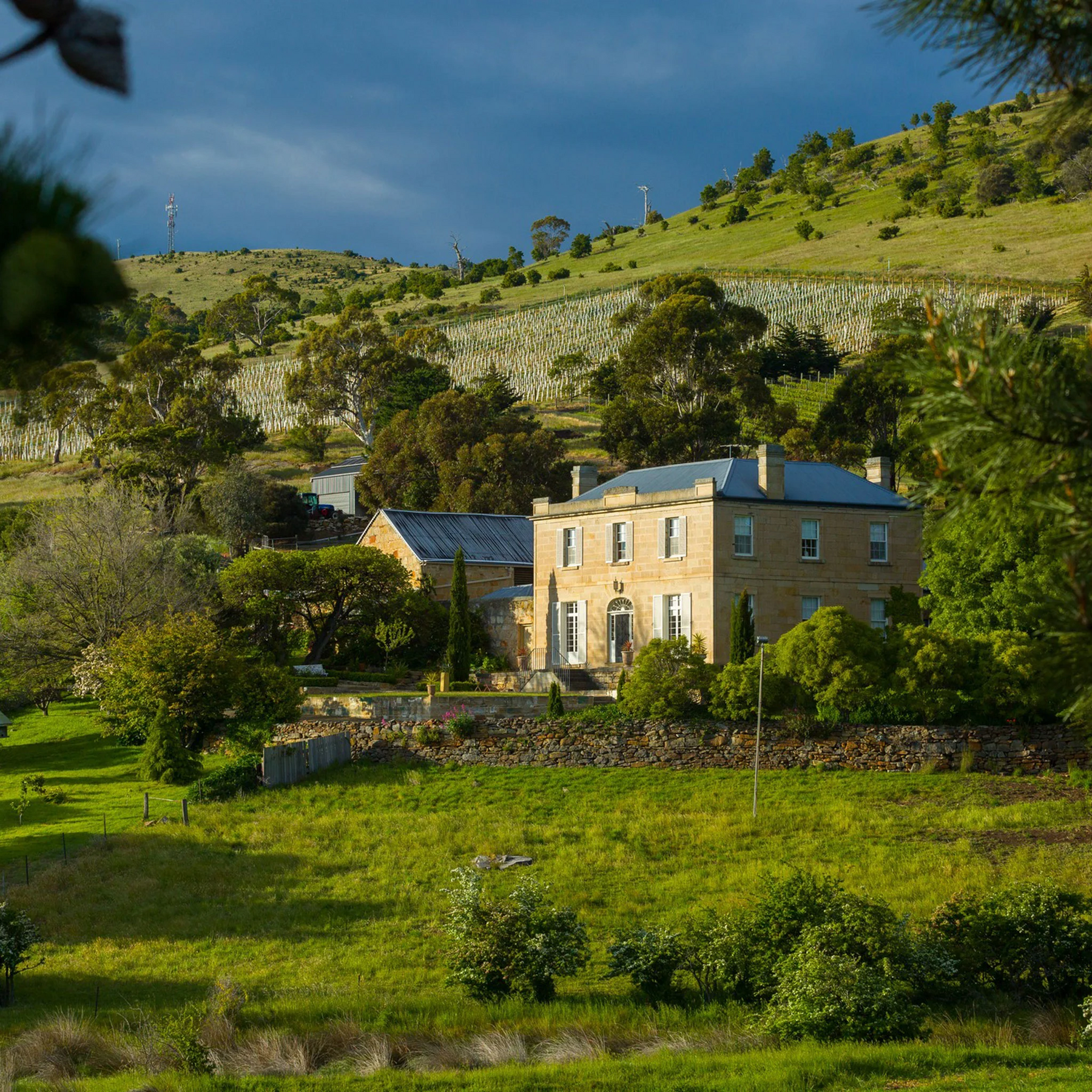 Pooley Estate - Kent Street Cellars