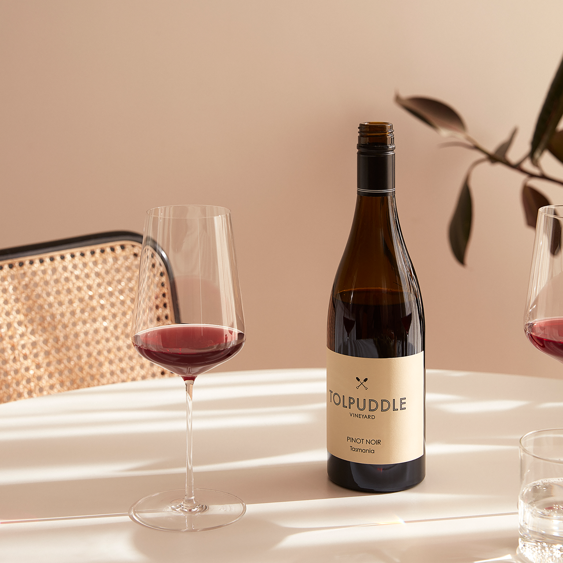 Tolpuddle Pinot Noir 2022