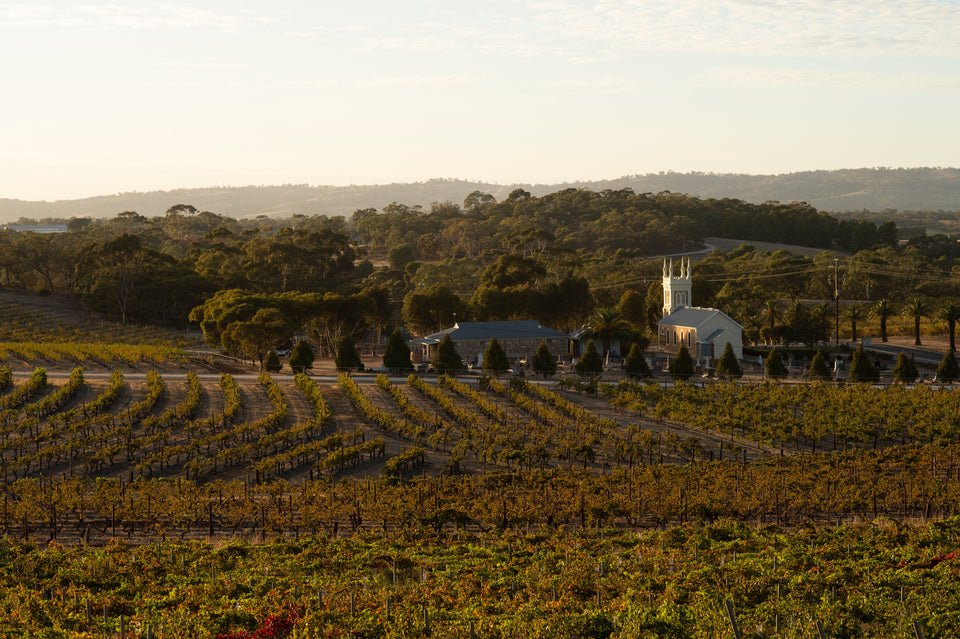 The Vineyard brand story