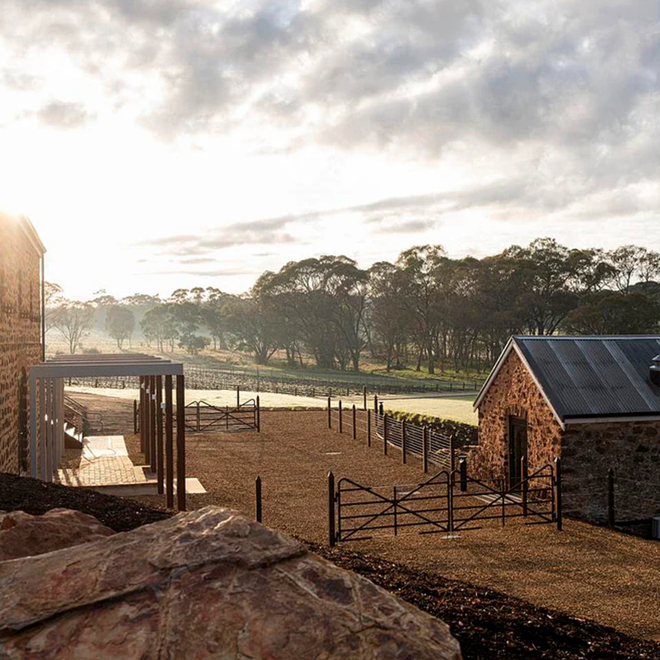 The Vineyard brand story