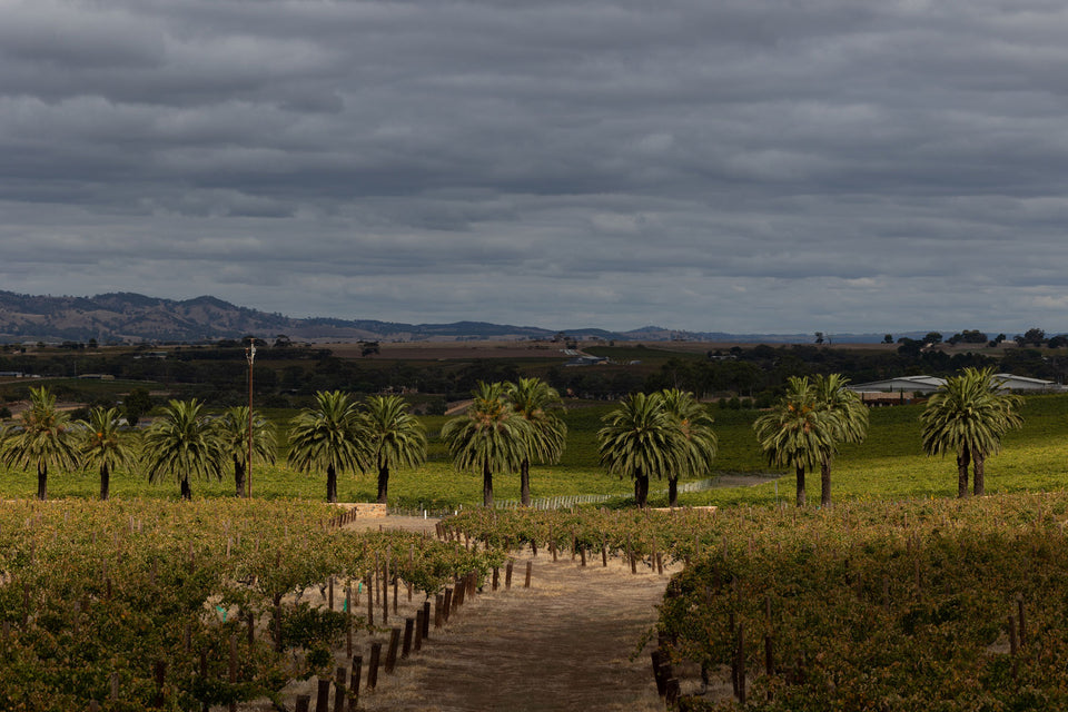 The Vineyard brand story