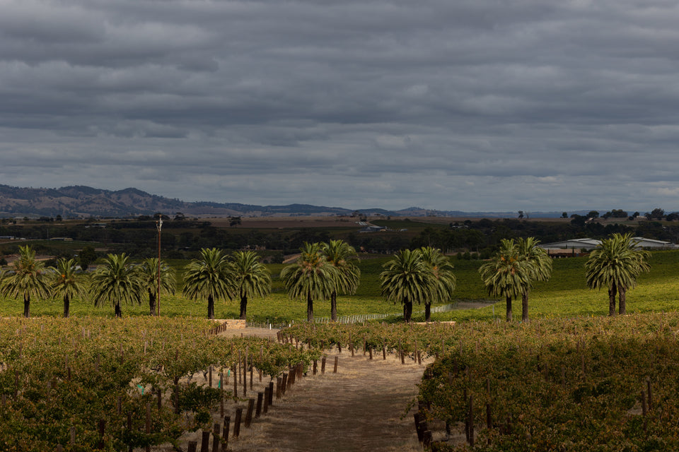 The Vineyard brand story