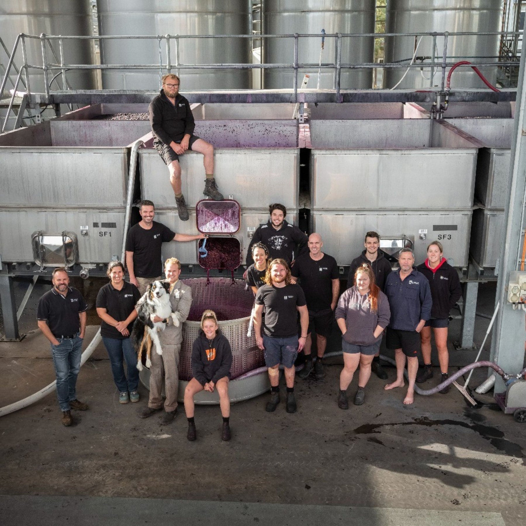 Torbreck Cellar Team - Kent Street Cellars