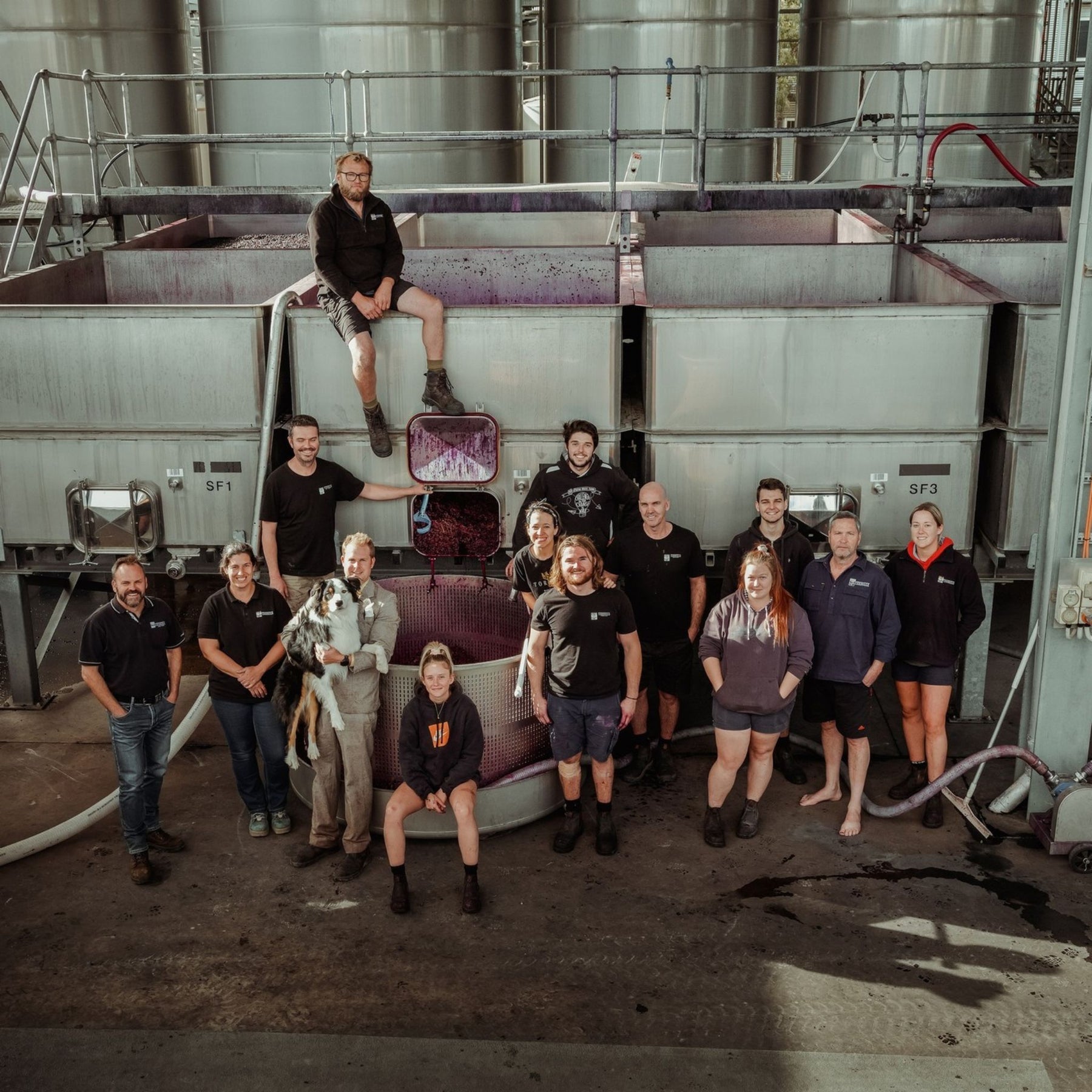 Torbreck Wine Team Dig Outs - Kent Street Cellars