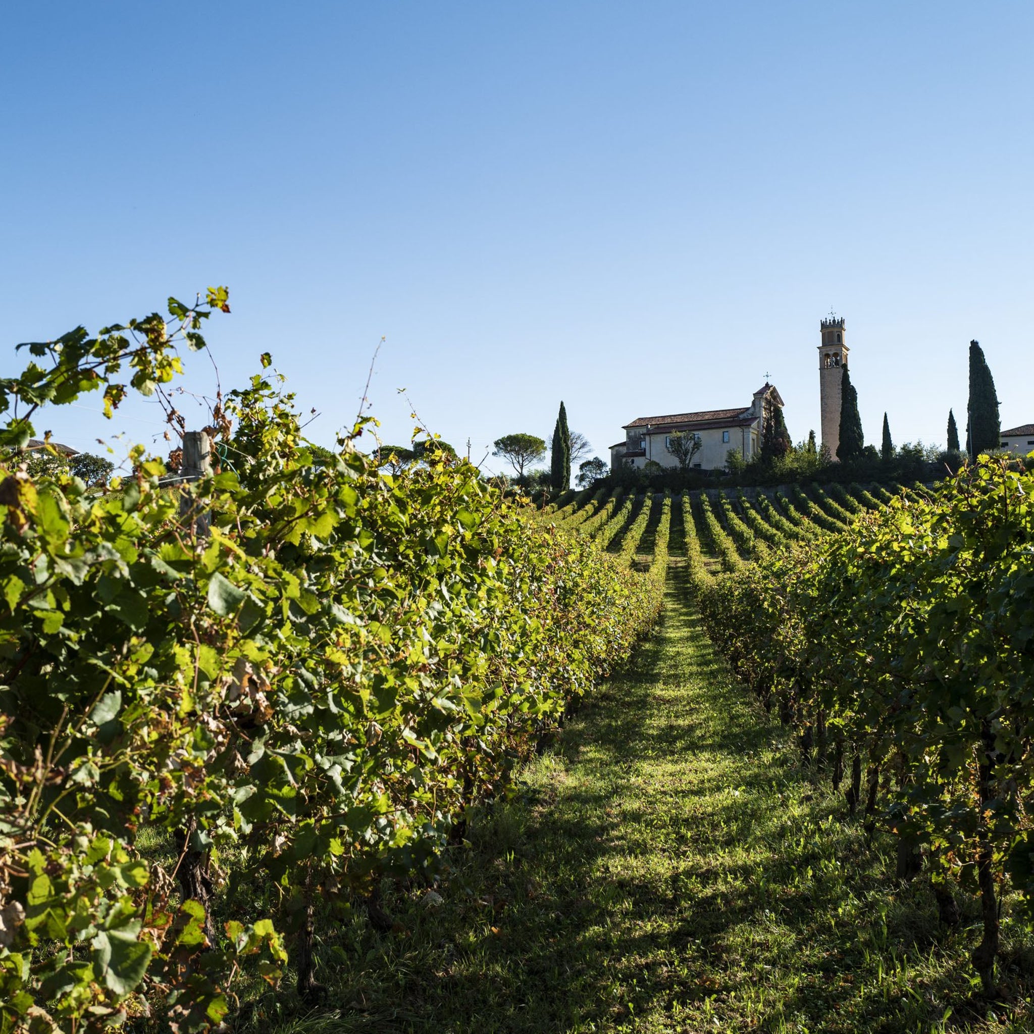 Philosophy | Ca’ Erto