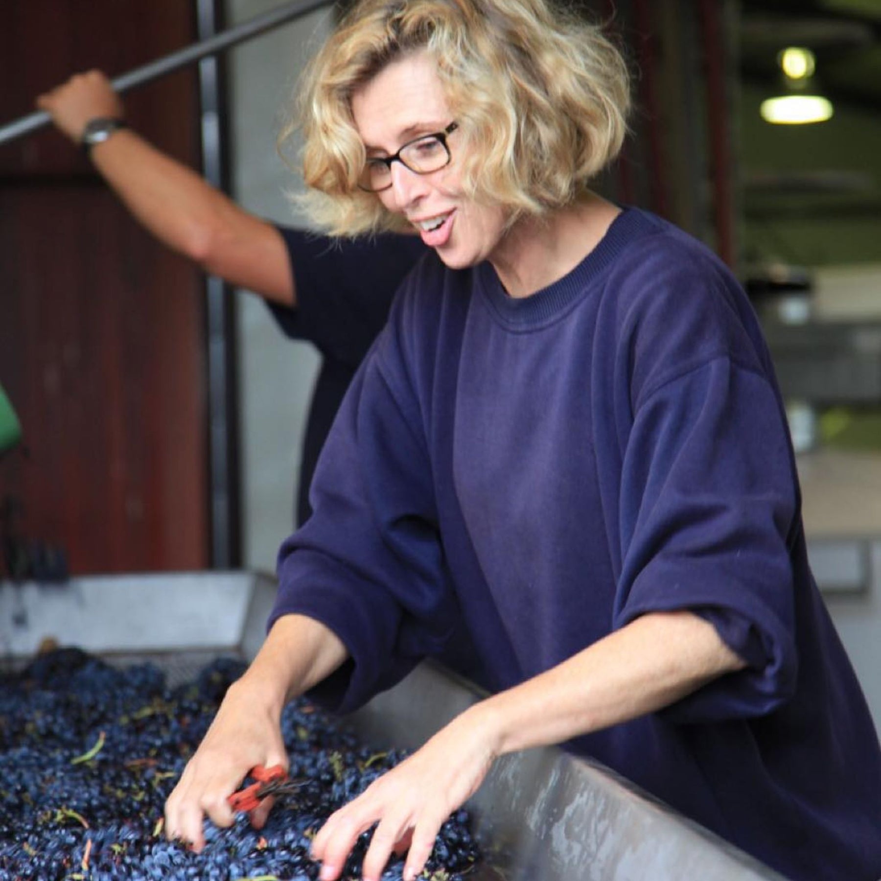 Pierro Fire Gully Shiraz 2022 - Kent Street Cellars