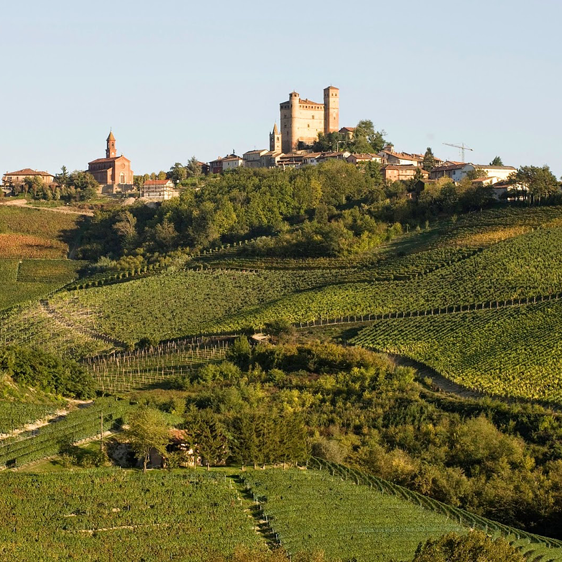 Vietti Barbaresco Roncaglie Masseria 2020