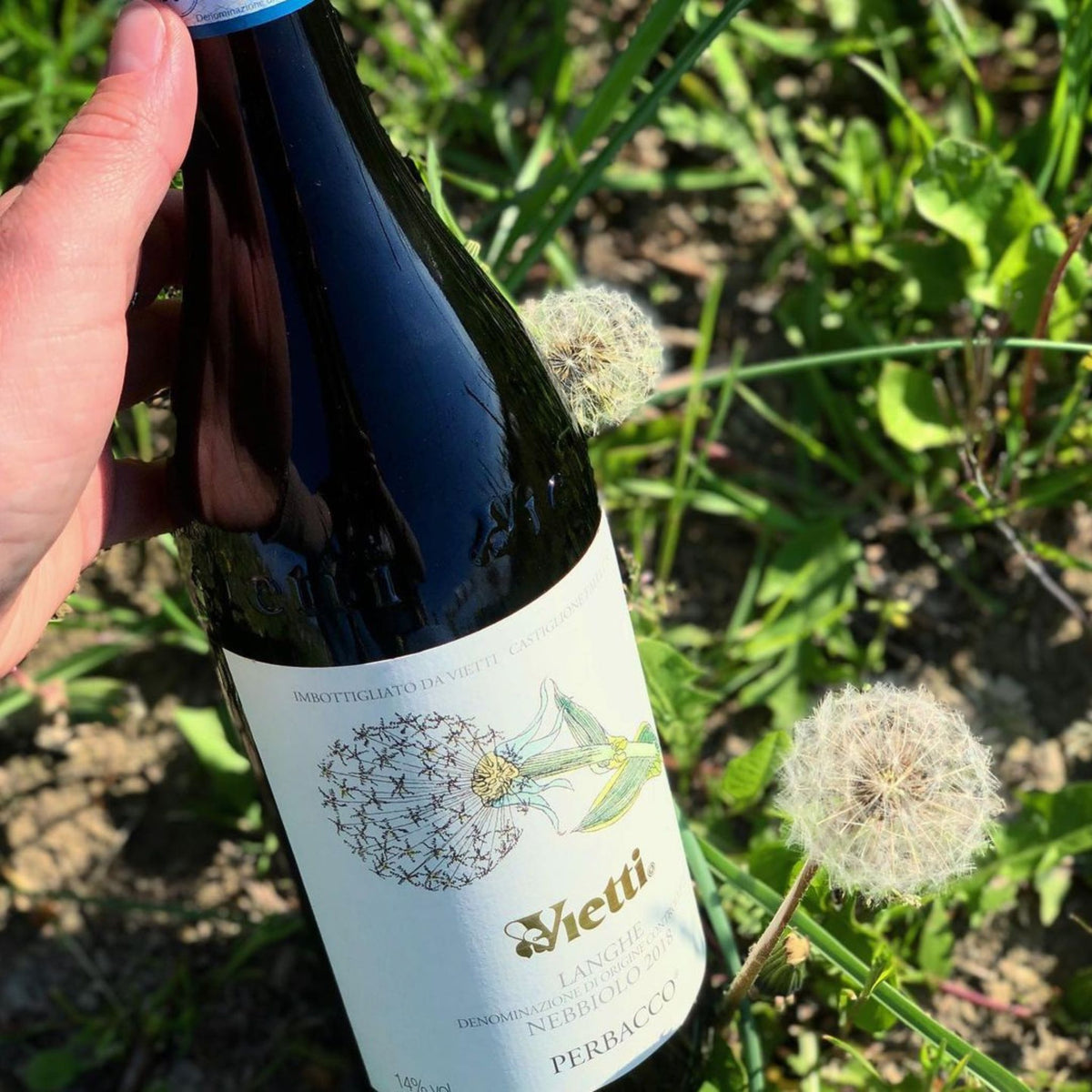 Vietti Langhe Nebbiolo Perbacco - Kent Street Cellars