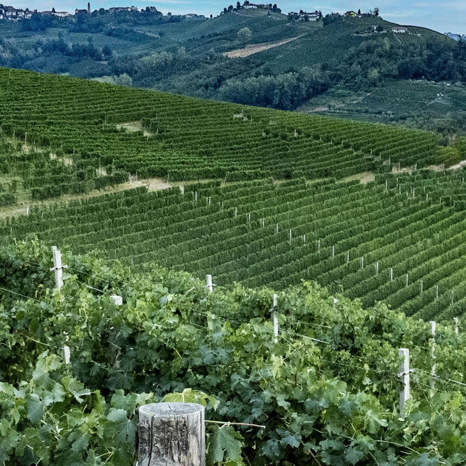Vineyard brand story