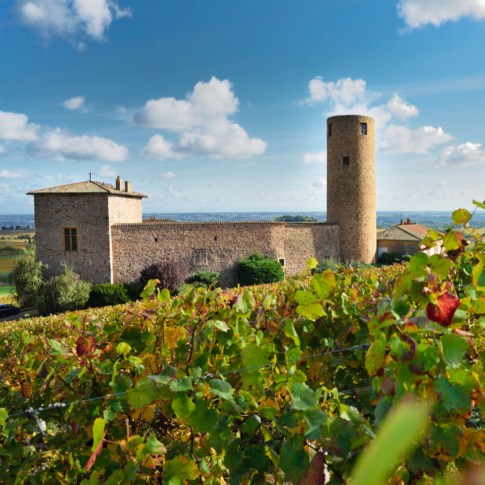 Domaine des Tours brand story