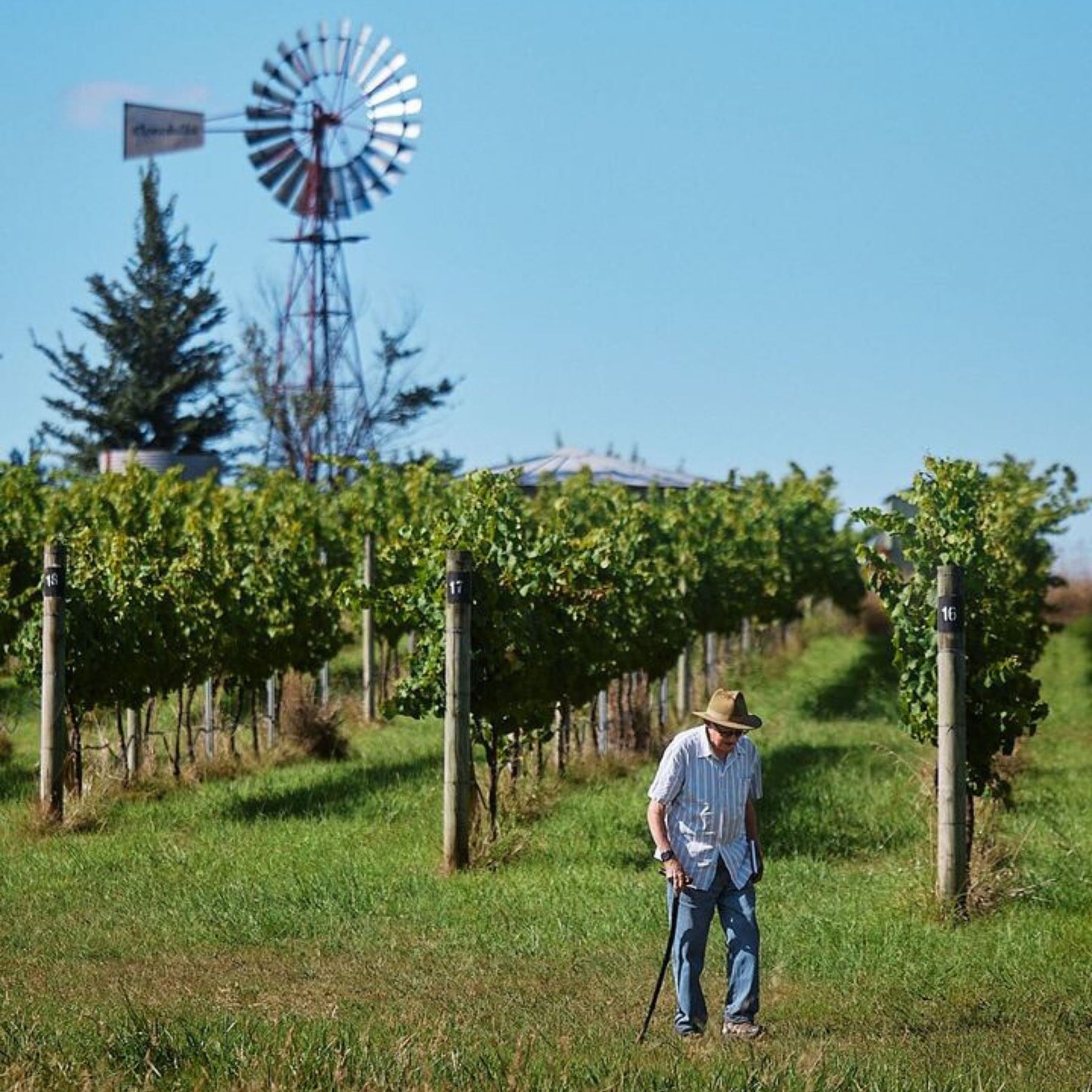 Clonakilla, located in the Canberra wine region of Murrumbateman, New South Wales, was founded in 1971 by Dr. John Kirk AM, an Irish biochemist who immigrated to Australia in 1968.  - Kent Street Cellars