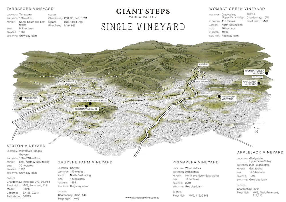 Giant Steps Clay Ferment Ocarina Chardonnay 2021 - Kent Street Cellars