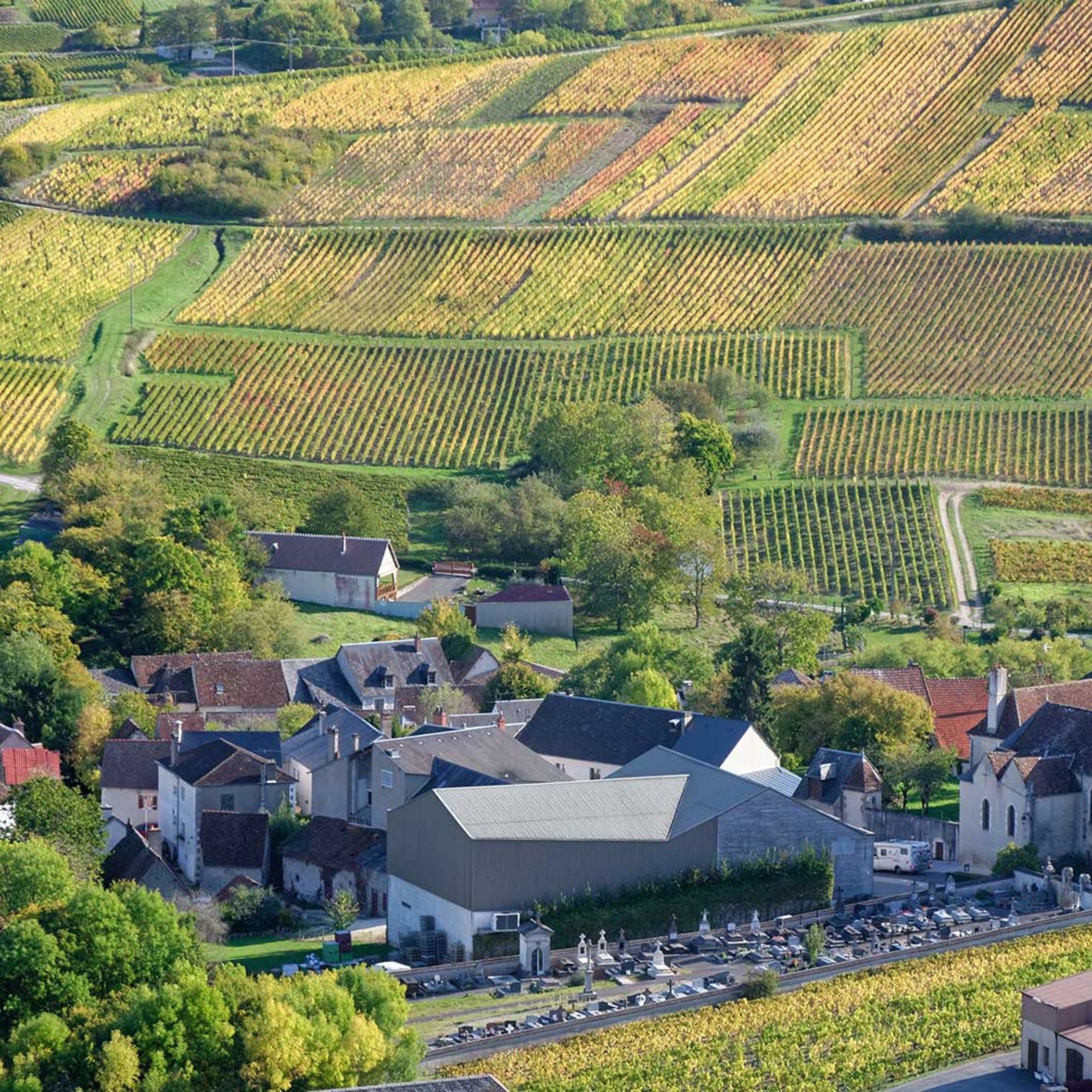 When compared to the finest white wines of France, particularly from Chablis and the Côte de Beaune, Boulay’s Sancerre wines stand out as remarkable bargains, delivering immense quality at a fraction of the price. - Kent Street Cellars