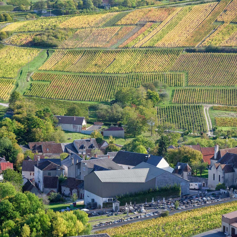 Domaine Gerard Boulay brand story