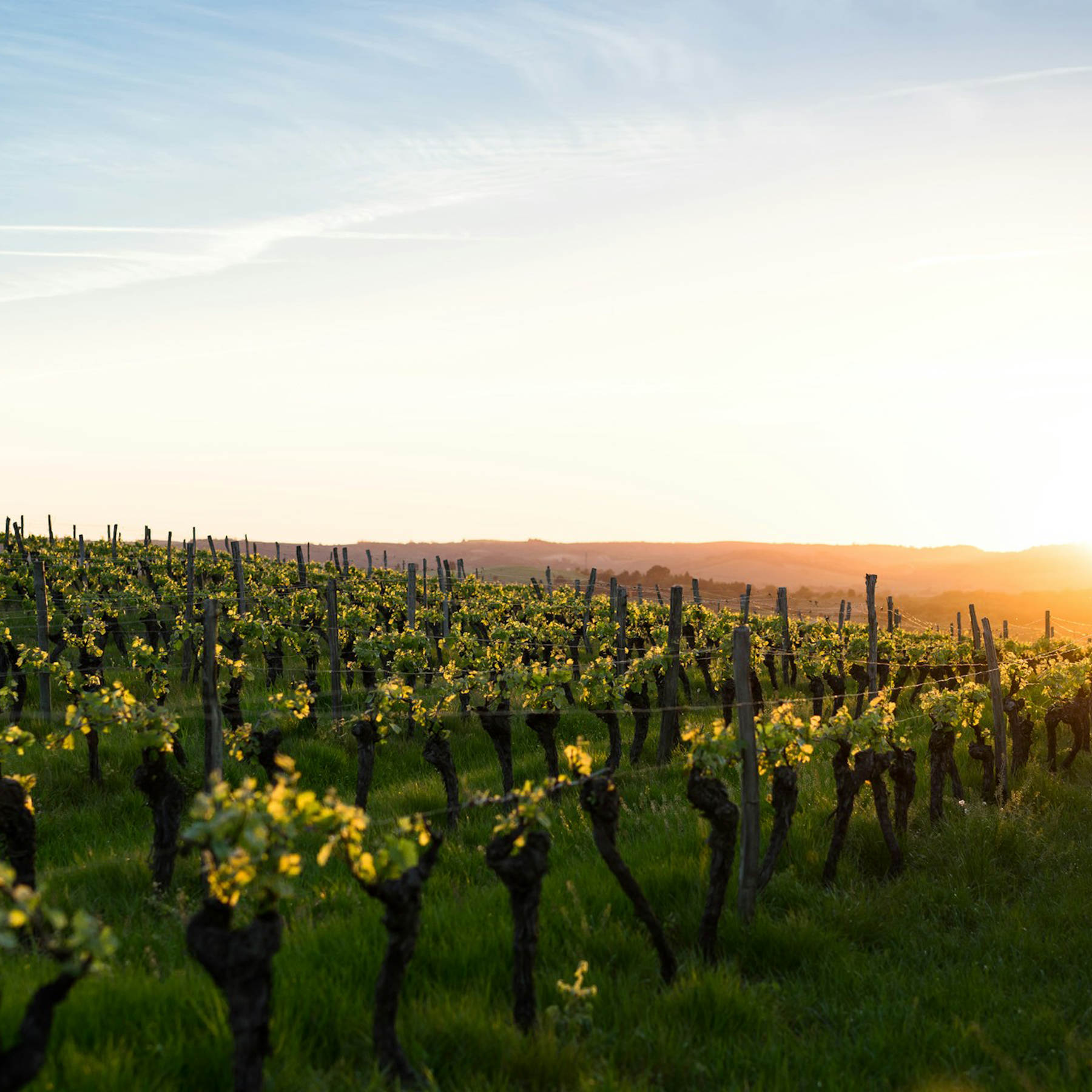Domaine Pierre Usseglio & Fils Cotes Du Rhone 2022