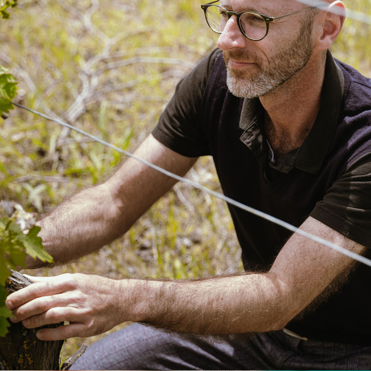 Over the last twenty years Ceretto have embarked on a journey to adopt more environmentally sustainable farming methods, and obtained organic certification in 2015. - Kent Street Cellars