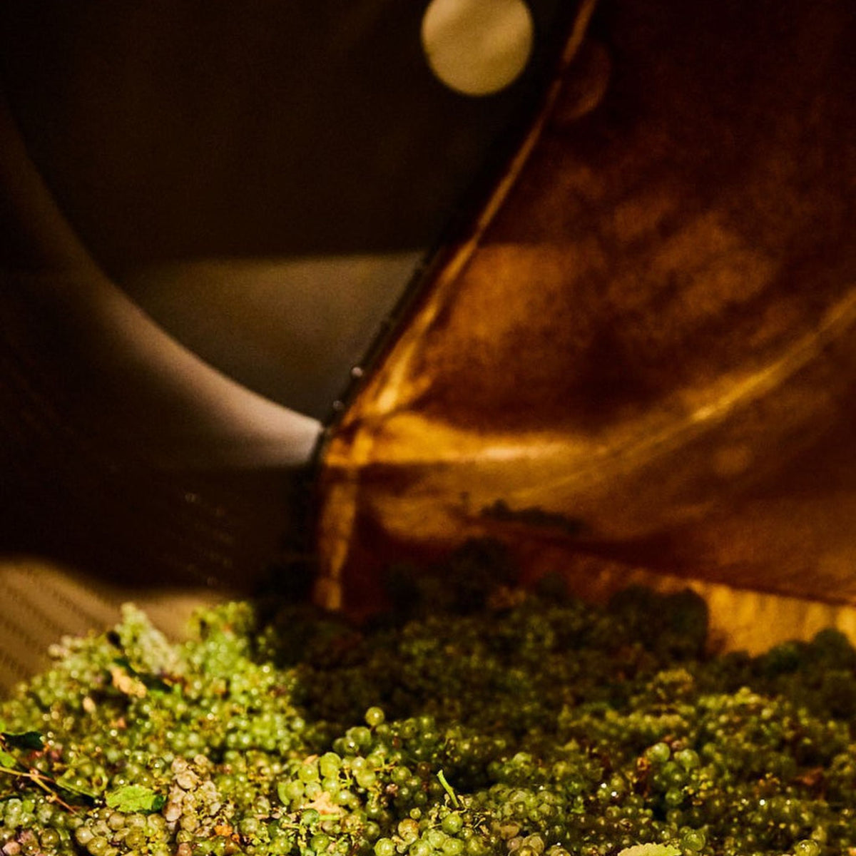 Clonakilla Viognier 2023 - Kent Street Cellars
