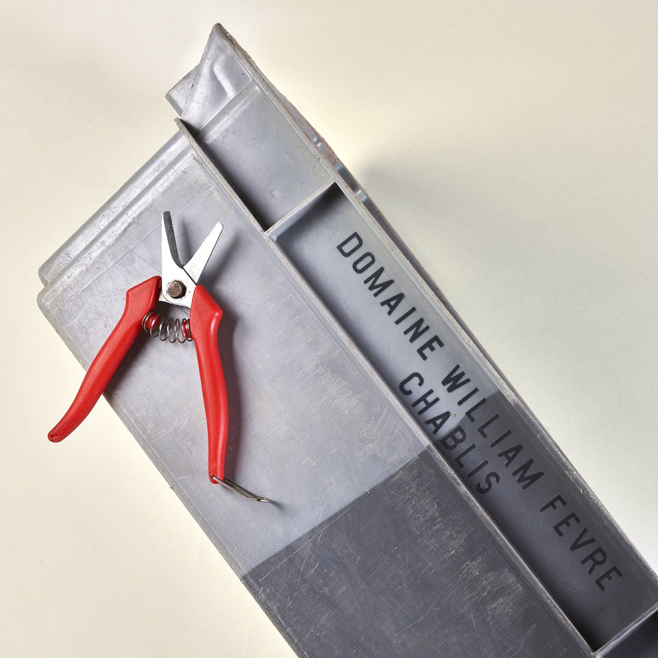 Domaine William Fevre brand story