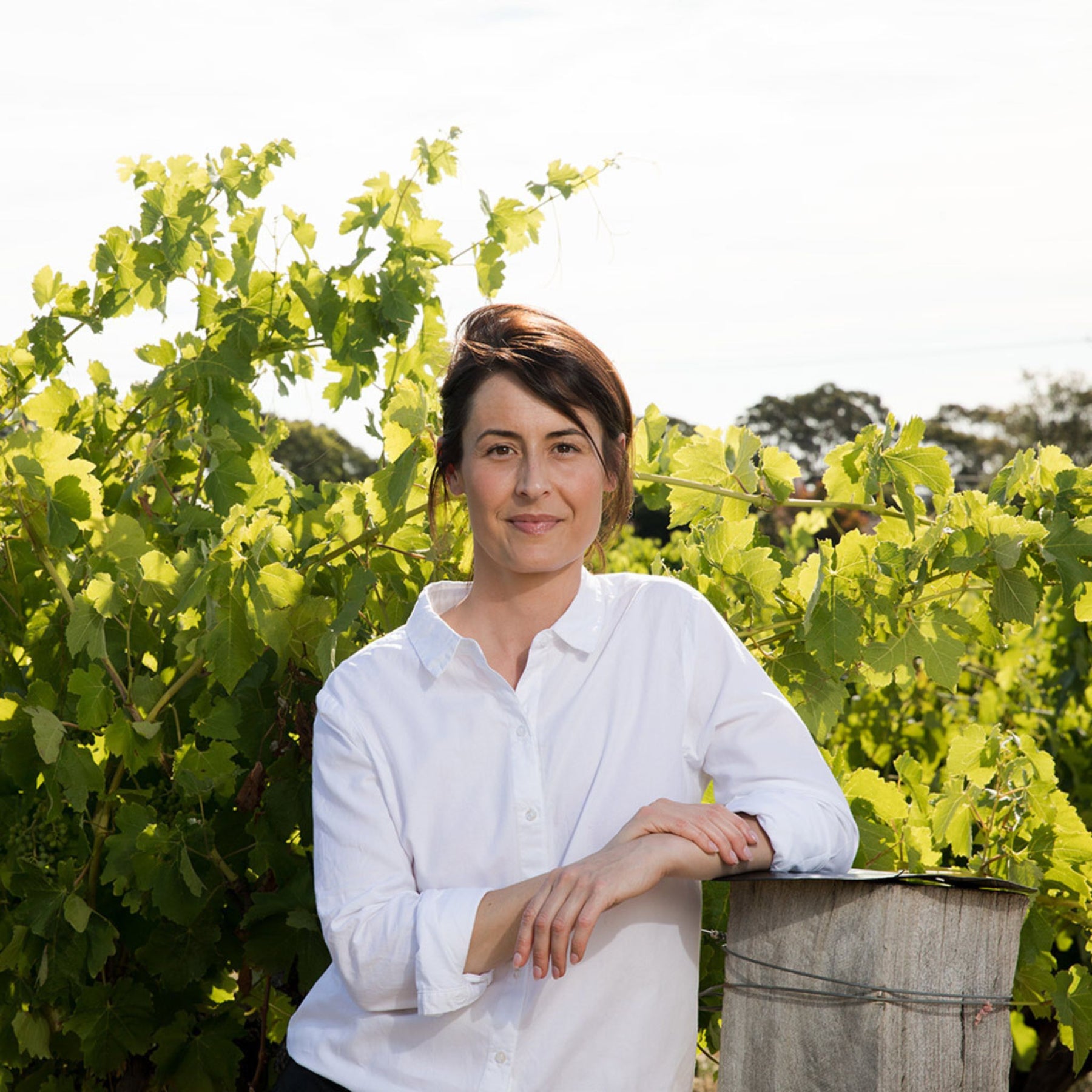 Penfolds Senior Winemaker Steph Dutton - Kent Street Cellars