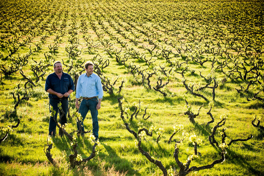 Yangarra High Sands Grenache 2014 - Kent Street Cellars