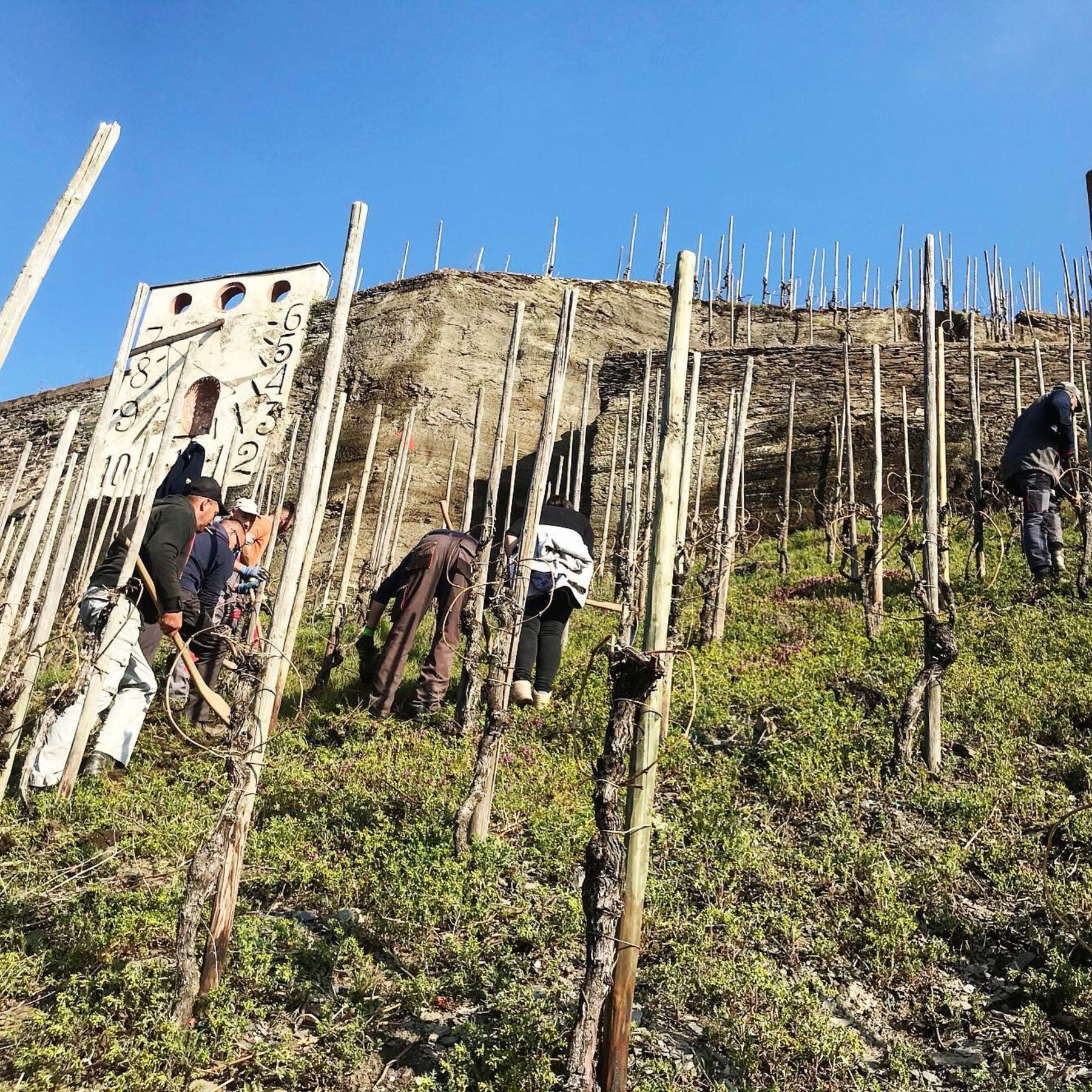 Joh Jos Prüm Zeltinger Sonnenuhr Riesling Spätlese 2022
