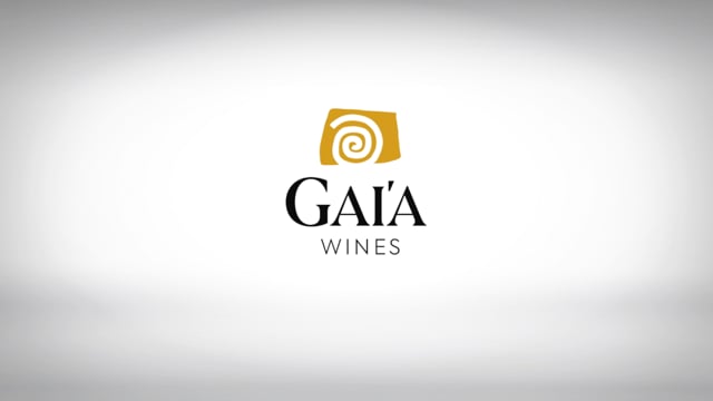 Gaía Thalassitis Submerged 2017