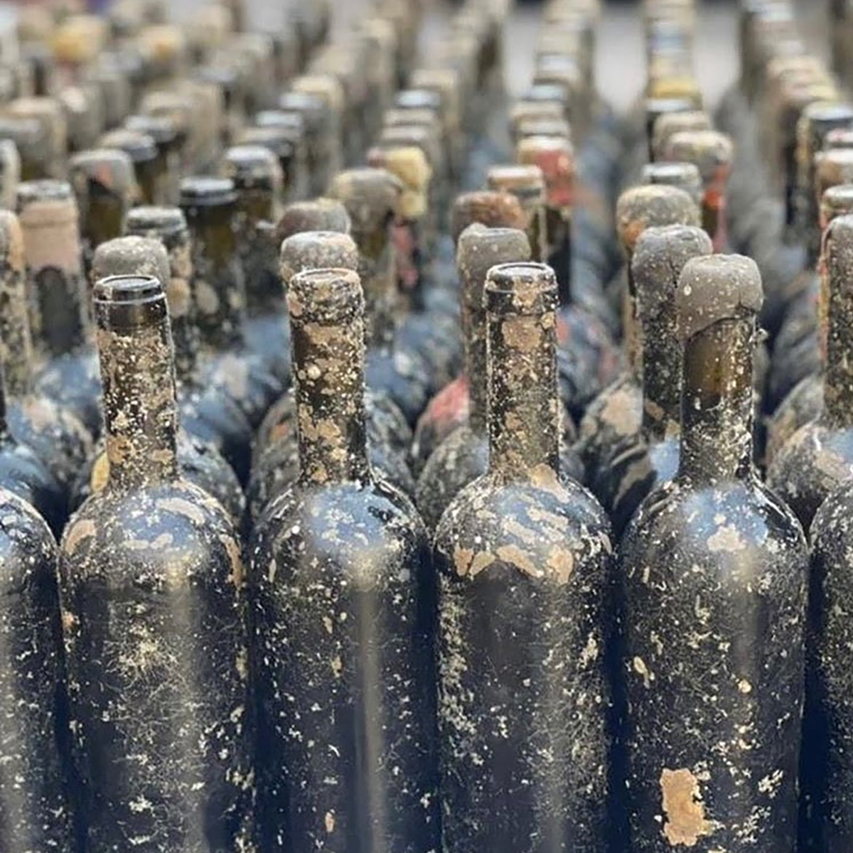 Gaía Thalassitis Submerged 2017 - Kent Street Cellars