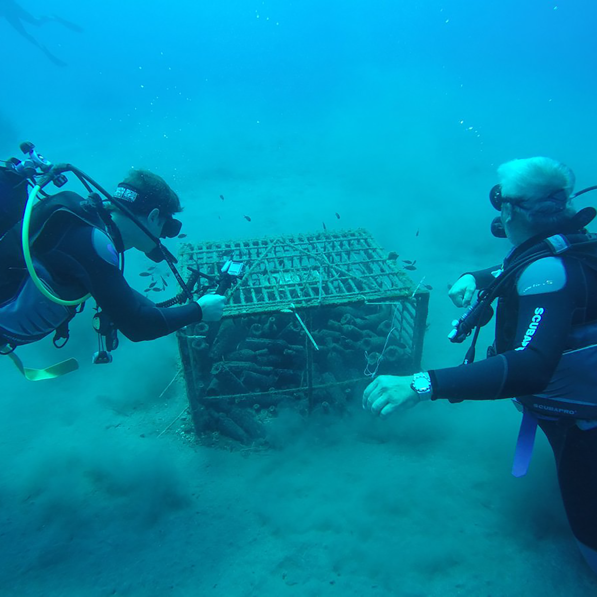 Gaía Thalassitis Submerged 2017 - Kent Street Cellars