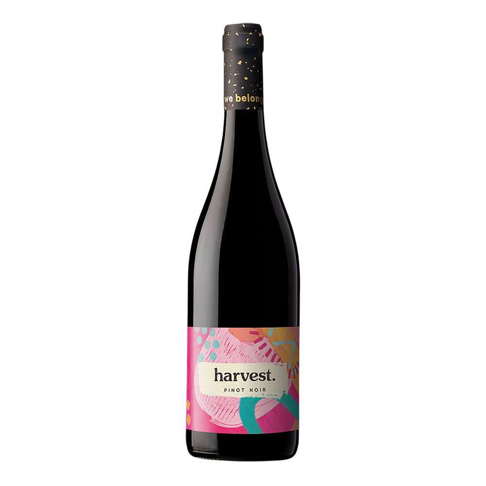 Unico Zelo Harvest Pinot Noir 2020 - Kent Street Cellars