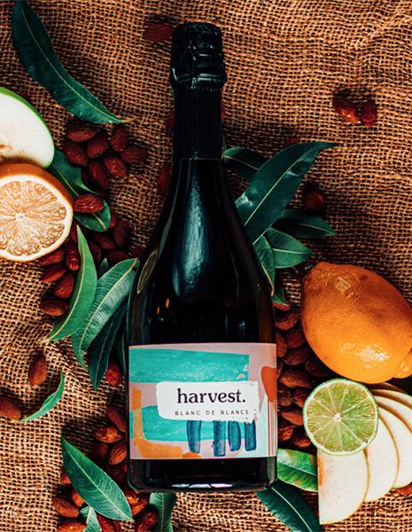 Unico Zelo Harvest Blanc de Blanc 2019