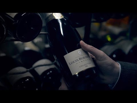 Louis Roederer Collection 242 NV