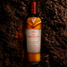 The Macallan Harmony Collection Rich Cacao Single Malt Scotch Whisky 700ml- Kent Street Cellars