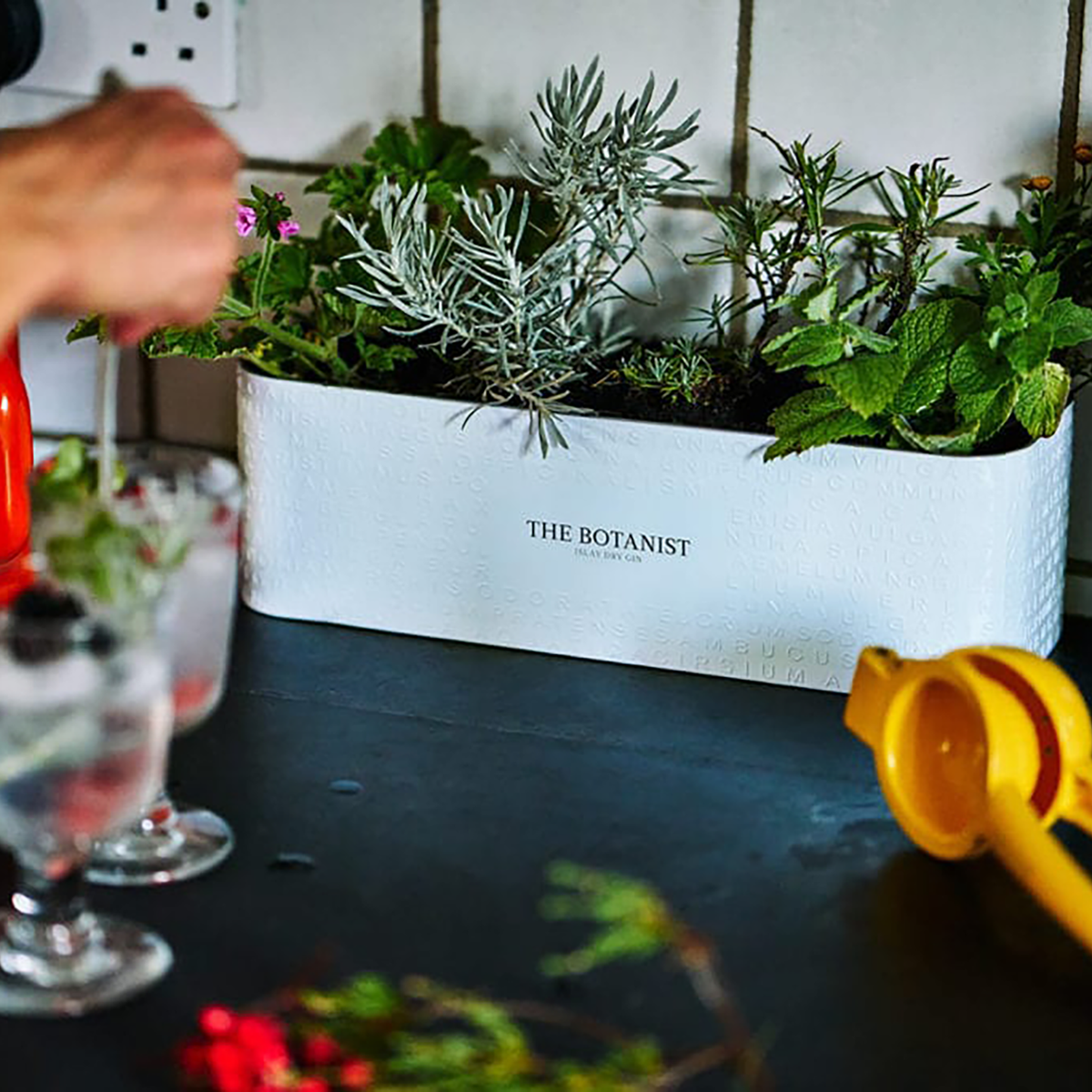 The Botanist Islay Dry Gin 700ml + Planter Gift Pack - Kent Street Cellars