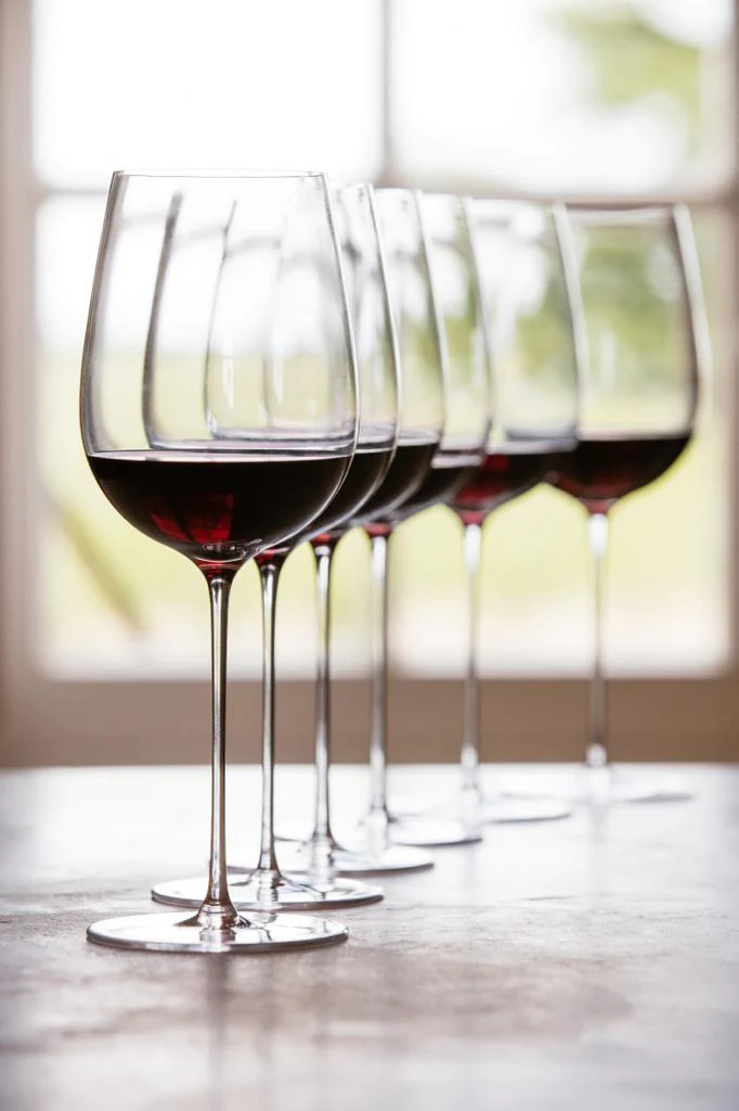Sydonios Le Meridional Wine Glass (2 Pack)